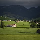 Les agriculteurs ont gagné en moyenne 1,3% de moins en 2022 (archives). KEYSTONE/GIAN EHRENZELLER